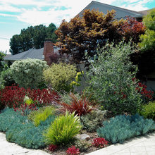 Plants