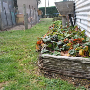 Vicki's Railway Sleeper Garden Landscape