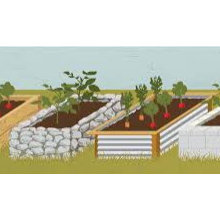New House Ideas