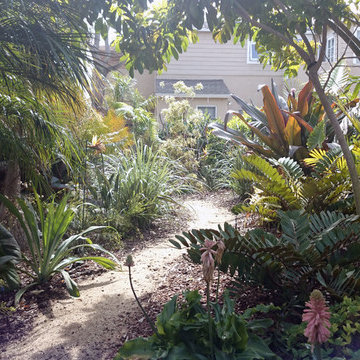 Tropical lawn replacement