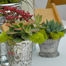 plants and projects