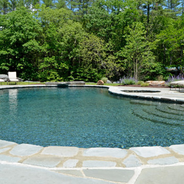 Restoring an Island in Orange County, NY