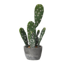 Wish List