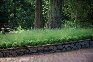 Design ideas for an expansive traditional front yard garden in Other.