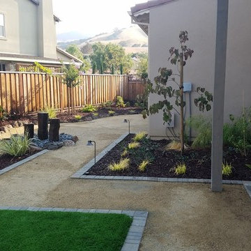 Backyard Remodel