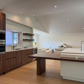 Santa Clara Whole House Remodel