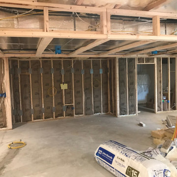 Basement Remodeling