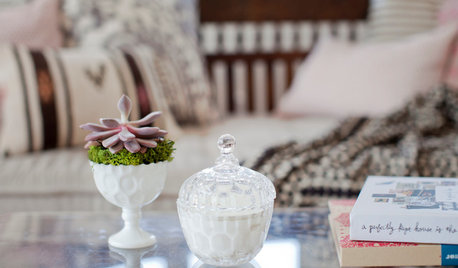 Tiny Potted Plants That Add a Touch of Green