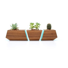 POTTED PLANTS