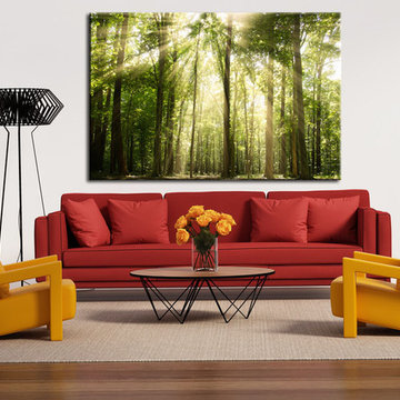 Landscape Photography Canvas Gallery Wraps on Display