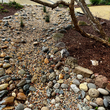 Sculpted Sustainability