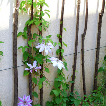 Rénovation d'un jardin en "U"
