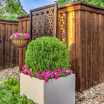 New Backyard Landscape Design | Plano Texas | Alterra Landscape Design