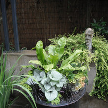 Gardening