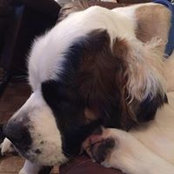 Eileen Martin's photo