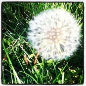 Foto di kellie_s