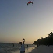 Roy Gitz's photo