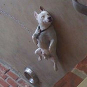 Troy Frith's photo