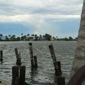 Sue Fords foto