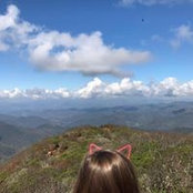 Anna Zucker's photo