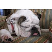 Kim Hadley's photo