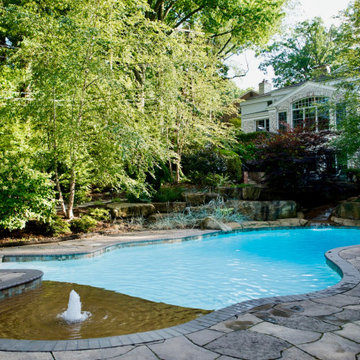 Luxury Residential Pools
