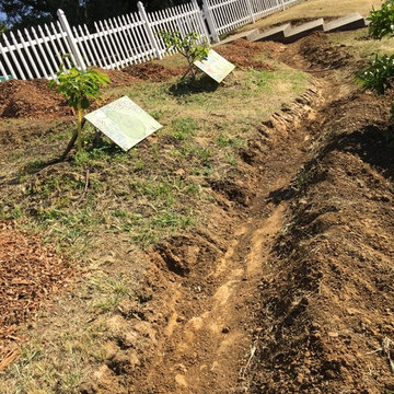 Benicia Community Food Forests