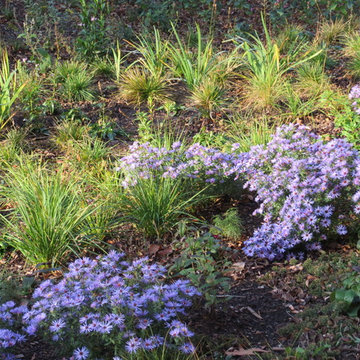 four months after planting