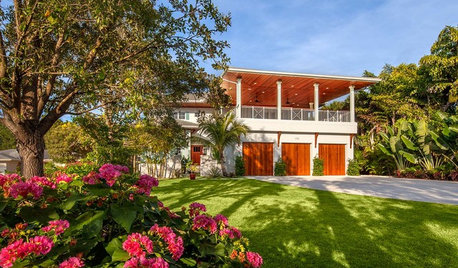 8 Best Sun-Loving Plants for Indian Gardens