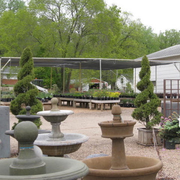 Flowers and Decorations