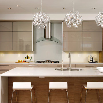 Washington D.C. - Contemporary - Kitchen Design