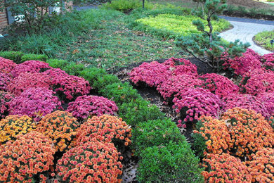 Design ideas for a traditional landscaping in St Louis.