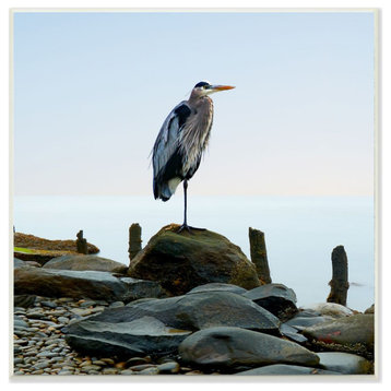 BHeron Bird Ocean Animal Photograph, 12"x12"