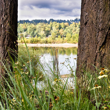 Willamette River View