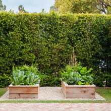 raised garden beds