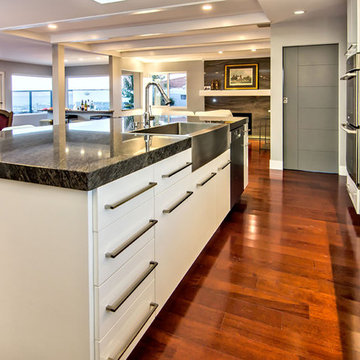 White High-Gloss Contemporary Kitchen