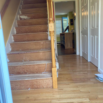 Hollywood plush carpet stairs