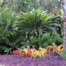 pool plants