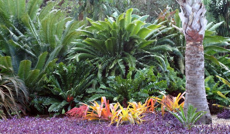 8 Design Tricks From Sunny Botanical Gardens