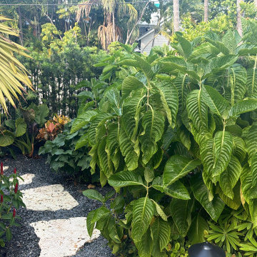 Tropical Garden Landscape with Natural Stone Pathway