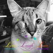 Alison Olson's photo