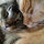 amy_lustig