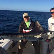 Gary Cain's photo