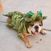 Tyler Smith's photo