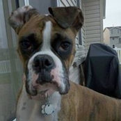 Megan Hemmer Venable's photo