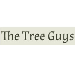 The Tree Guys