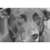 Pauline Smith's photo