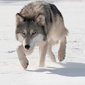 Clay Griffin's photo