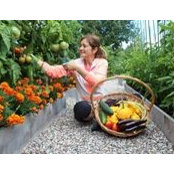 Josée Landry's photo