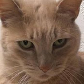Alyssa Marks's photo